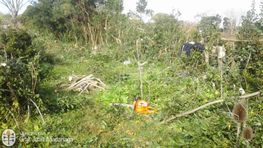 Trabajos de mantenimiento en distintos puntos de la ciudad