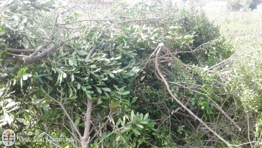 Trabajos de mantenimiento en distintos puntos de la ciudad