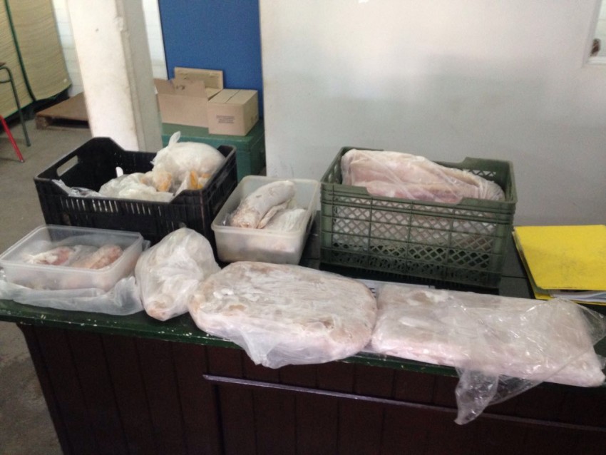 Donaron ms de 20 kilos de mariscos a Desarrollo Social