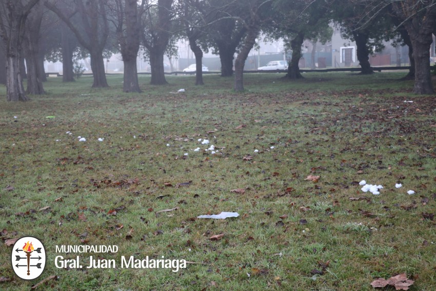 Hechos vandlicos afectaron la limpieza y orden del parque Anchorena