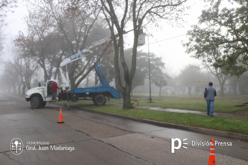 Continan las tareas para brindar mayor iluminacin en los distintos s