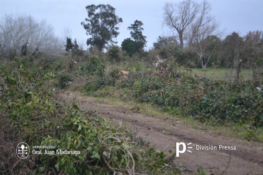 Siguen las tareas de prevencin tras la limpieza de la mayora de las 