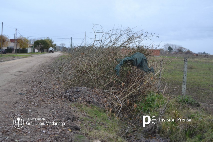 Siguen las tareas de prevencin tras la limpieza de la mayora de las 