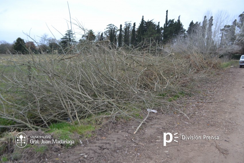 Siguen las tareas de prevencin tras la limpieza de la mayora de las 