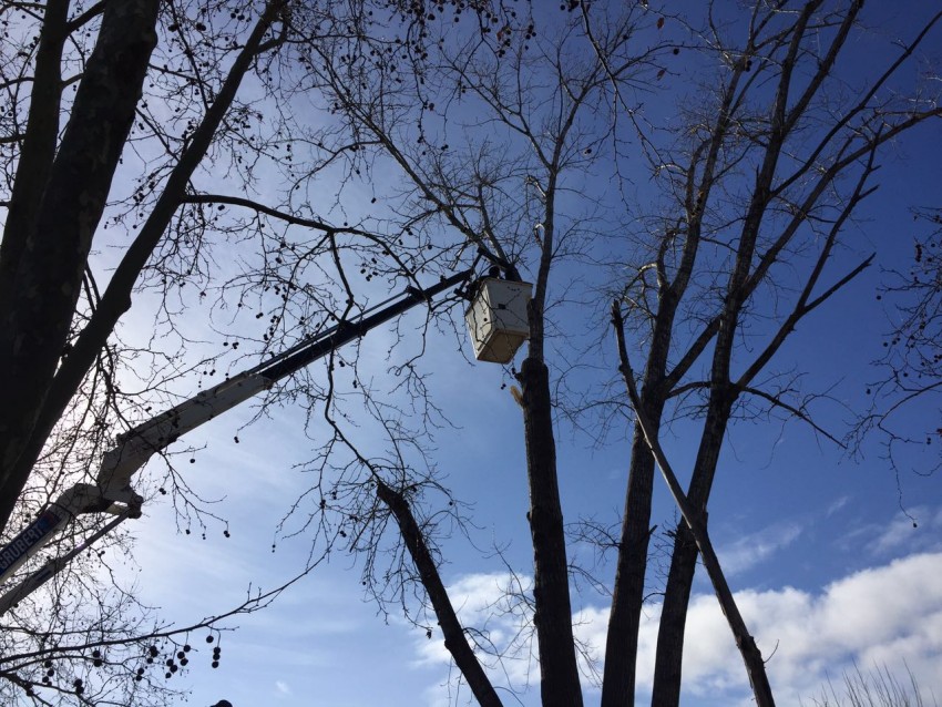 Corte de calles por poda