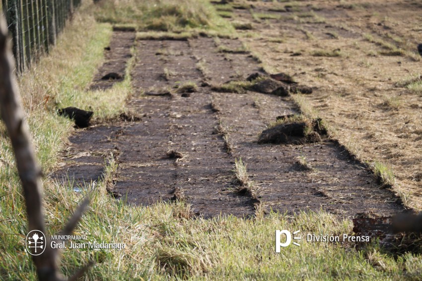 Clausuraron un predio por la extraccin ilegal de csped