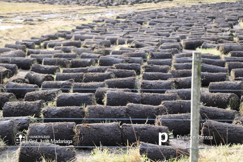 Clausuraron un predio por la extraccin ilegal de csped