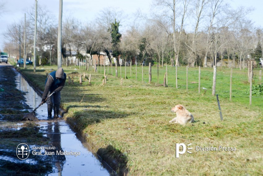 Limpieza de veredas en distintos sectores de la ciudad