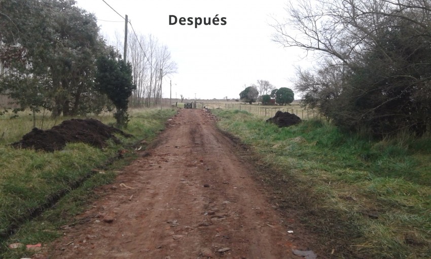 Realizaron arreglos en la calle 50