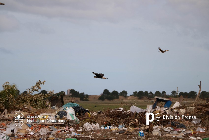 Los representantes del OPDS recorrieron el predio de disposicin final