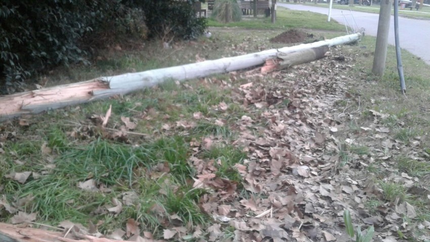 Siniestro vial provoc la cada de un poste de luz