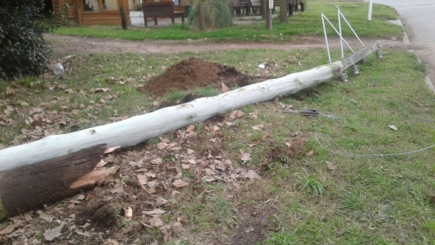 Siniestro vial provoc la cada de un poste de luz