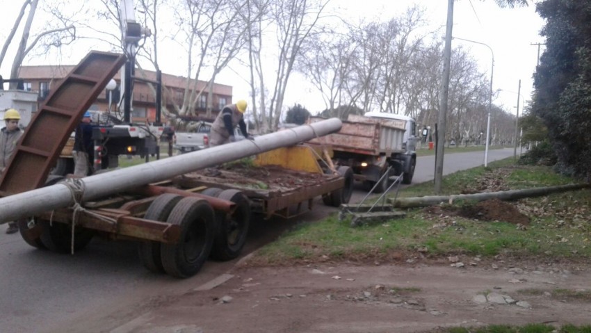 Siniestro vial provoc la cada de un poste de luz