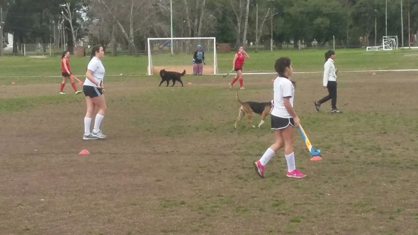 Hockey femenino: el CEF se impuso ante el  Juventud por 5 a 1