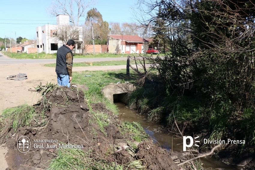 Realizan la limpieza de un canal a cielo abierto en el barrio Quintani