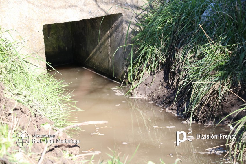 Realizan la limpieza de un canal a cielo abierto en el barrio Quintani
