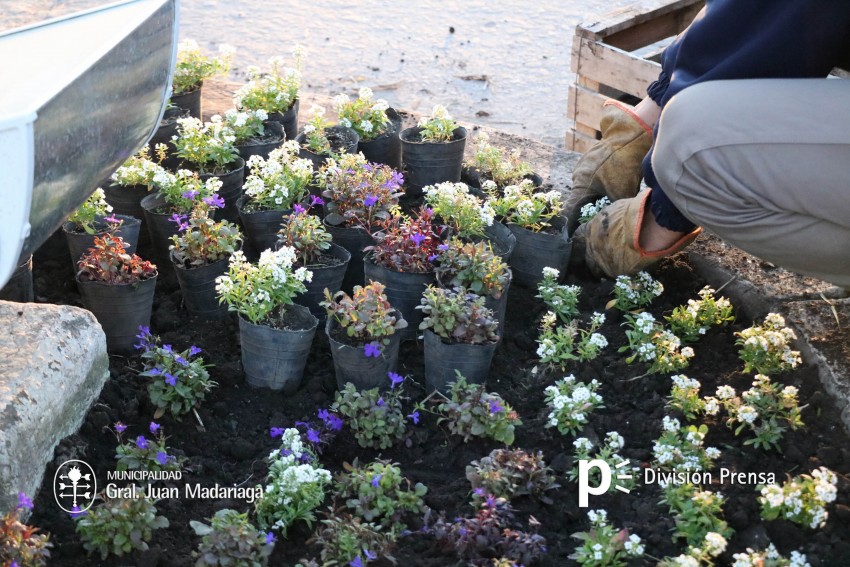 Mejoras constantes, limpieza y embellecimiento de espacios pblicos