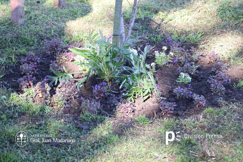 Reacondicionan el Cristo de Ruta 56 y Olavarra