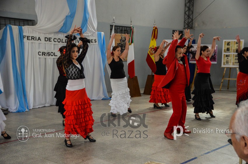 Crisol de Razas: El festejo de las colectividades en fotos