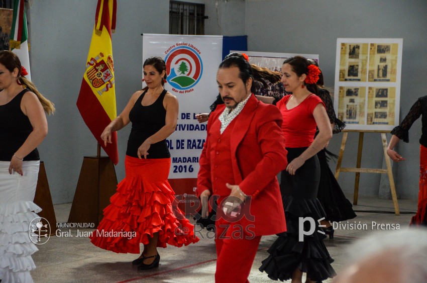 Crisol de Razas: El festejo de las colectividades en fotos