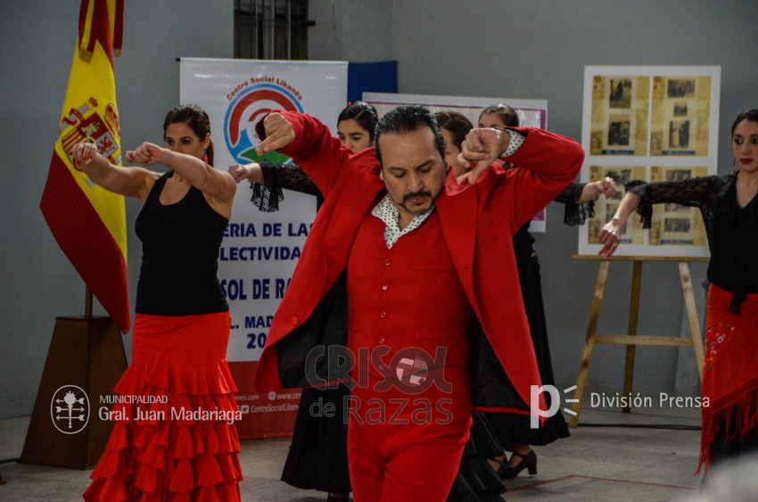Crisol de Razas: El festejo de las colectividades en fotos