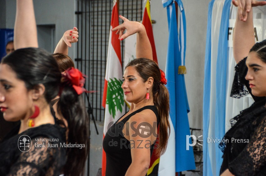 Crisol de Razas: El festejo de las colectividades en fotos