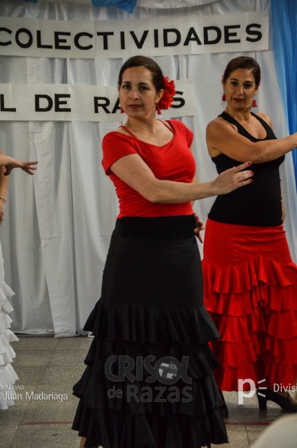 Crisol de Razas: El festejo de las colectividades en fotos