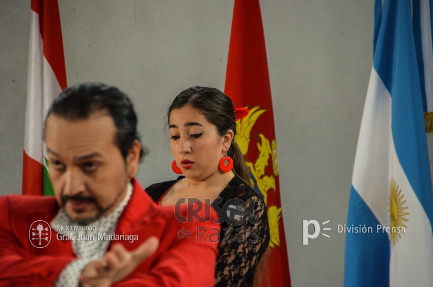 Crisol de Razas: El festejo de las colectividades en fotos