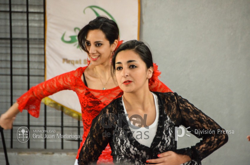 Crisol de Razas: El festejo de las colectividades en fotos