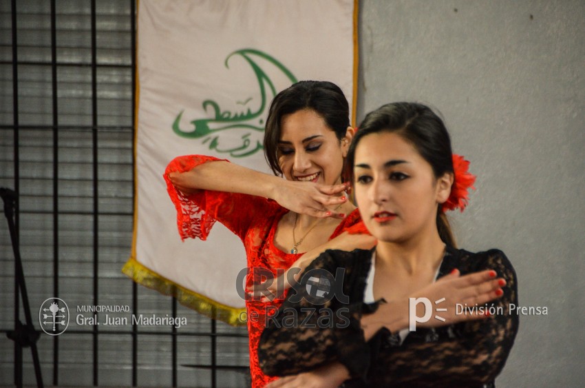 Crisol de Razas: El festejo de las colectividades en fotos