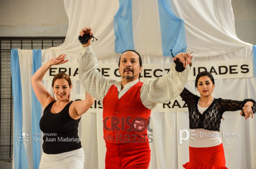 Crisol de Razas: El festejo de las colectividades en fotos