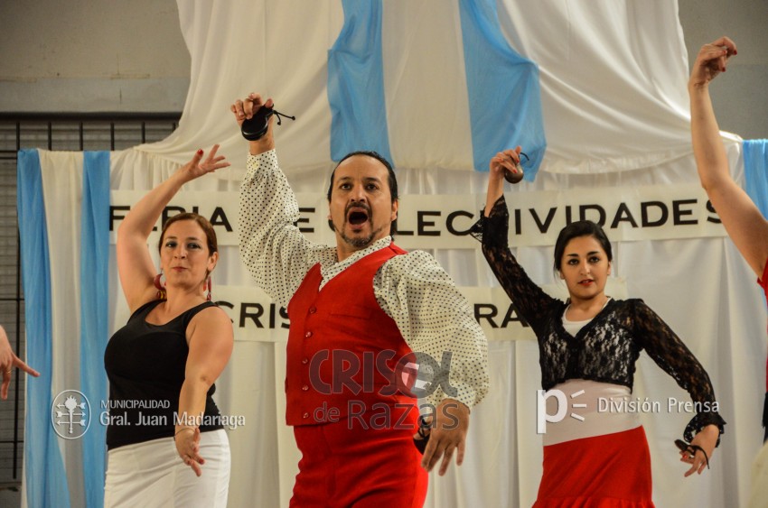 Crisol de Razas: El festejo de las colectividades en fotos