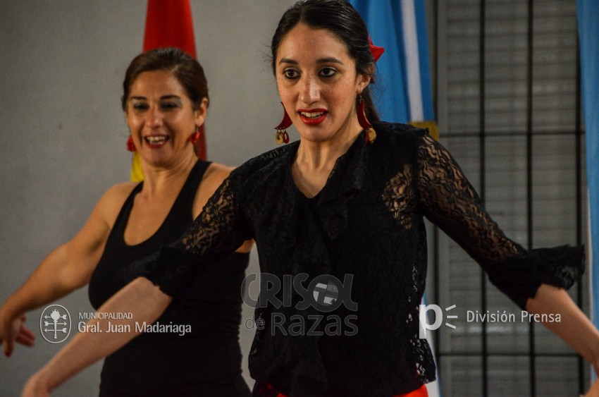 Crisol de Razas: El festejo de las colectividades en fotos