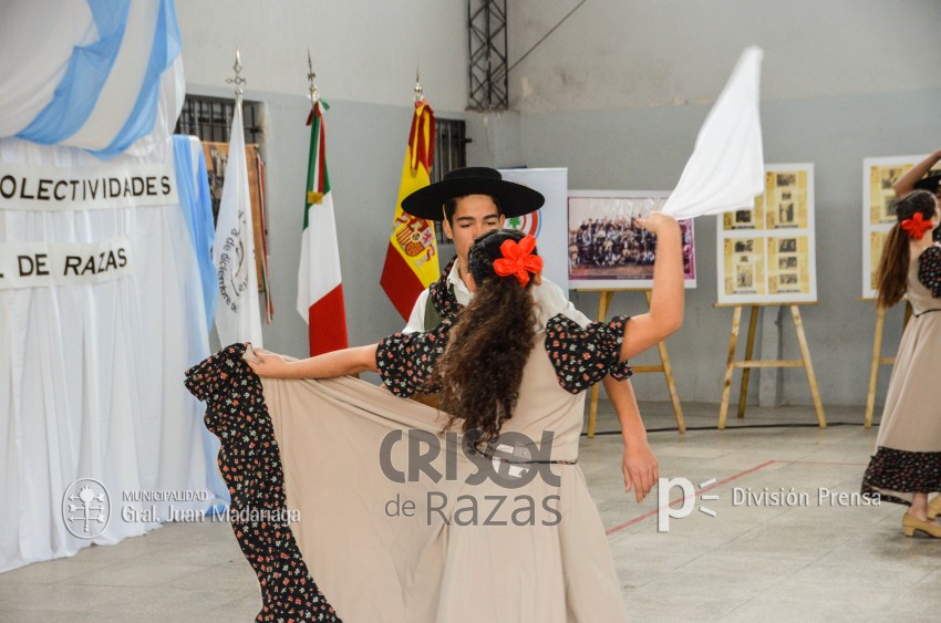 Crisol de Razas: El festejo de las colectividades en fotos