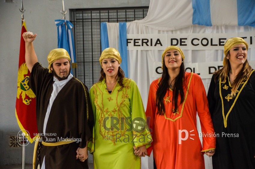 Crisol de Razas: El festejo de las colectividades en fotos