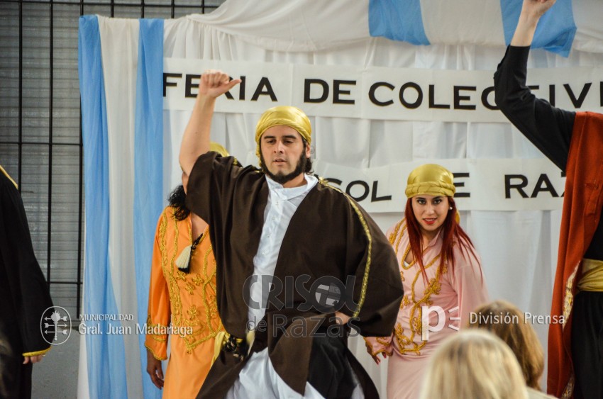 Crisol de Razas: El festejo de las colectividades en fotos