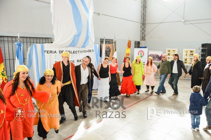 Crisol de Razas: El festejo de las colectividades en fotos