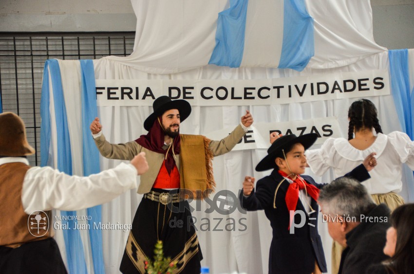 Crisol de Razas: El festejo de las colectividades en fotos