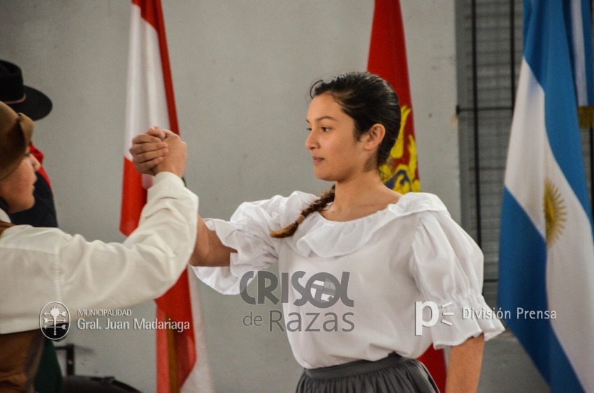 Crisol de Razas: El festejo de las colectividades en fotos