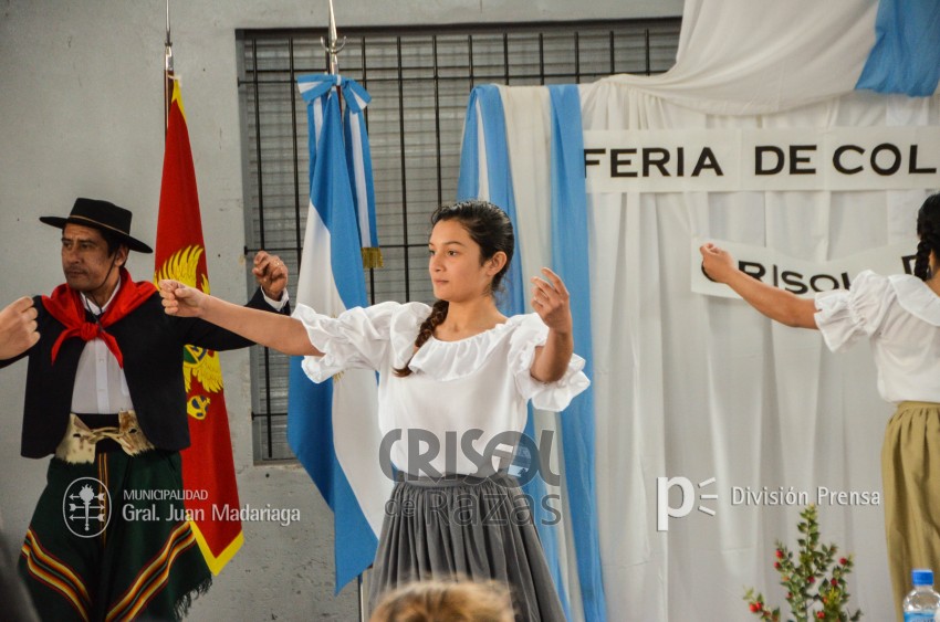 Crisol de Razas: El festejo de las colectividades en fotos