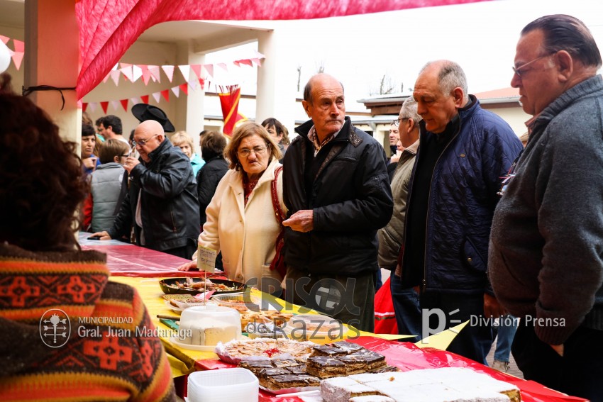 Crisol de Razas: El festejo de las colectividades en fotos