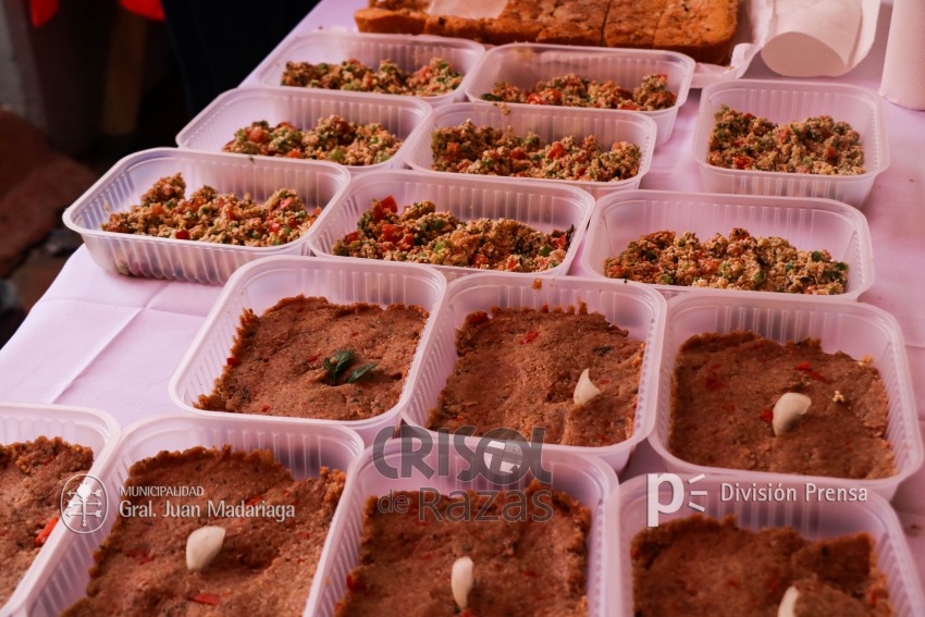 Crisol de Razas: El festejo de las colectividades en fotos