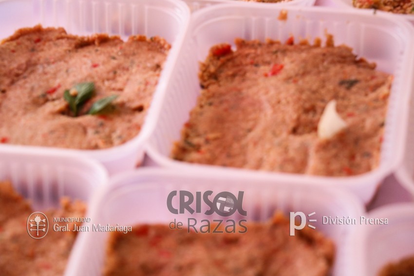 Crisol de Razas: El festejo de las colectividades en fotos