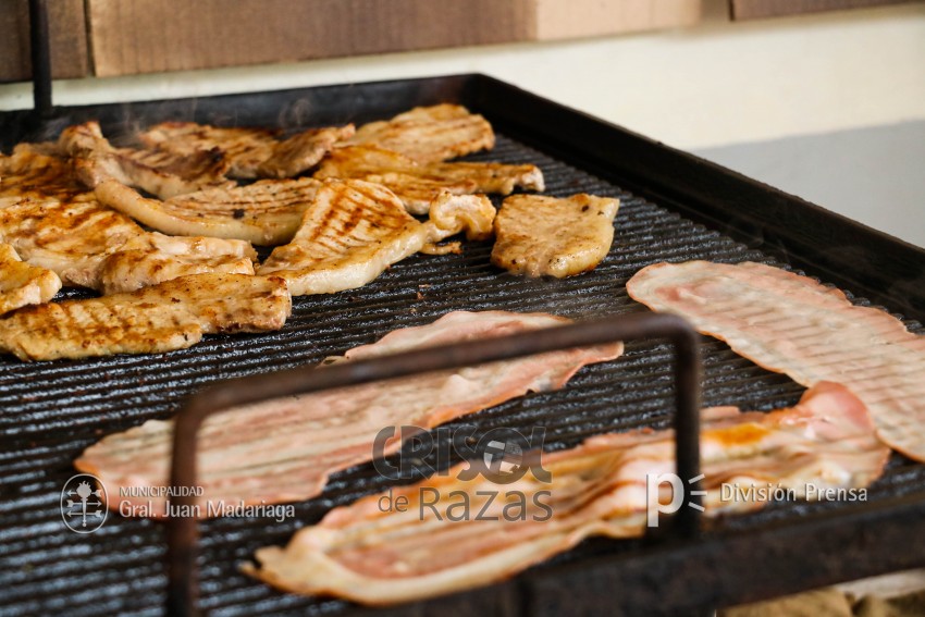 Crisol de Razas: El festejo de las colectividades en fotos