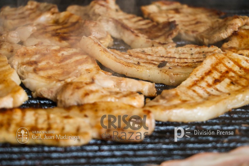 Crisol de Razas: El festejo de las colectividades en fotos