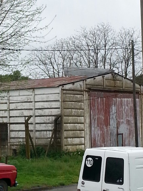 Alerta Meteorol�gico: el viento arranc� un �rbol de cuajo y hay proble
