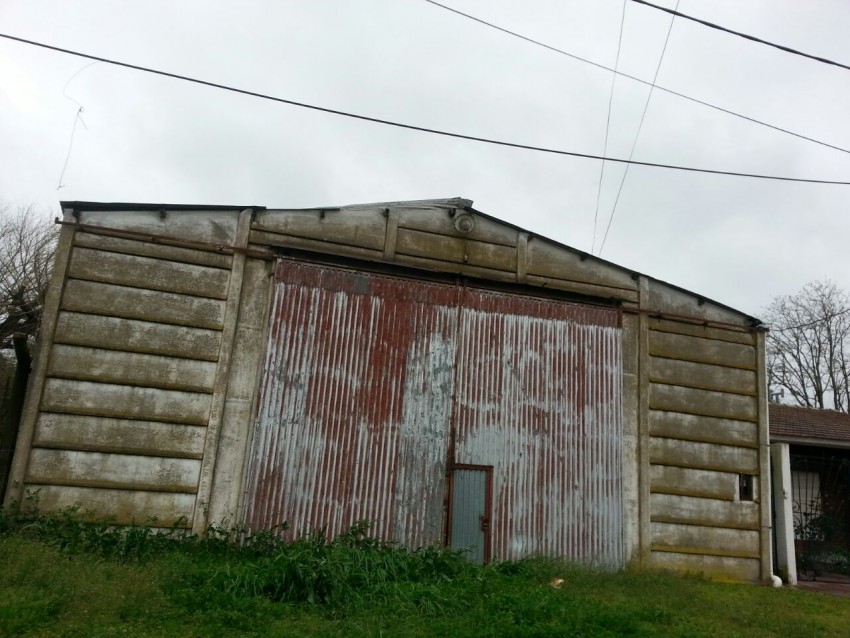 Alerta Meteorolgico: el viento arranc un rbol de cuajo y hay proble