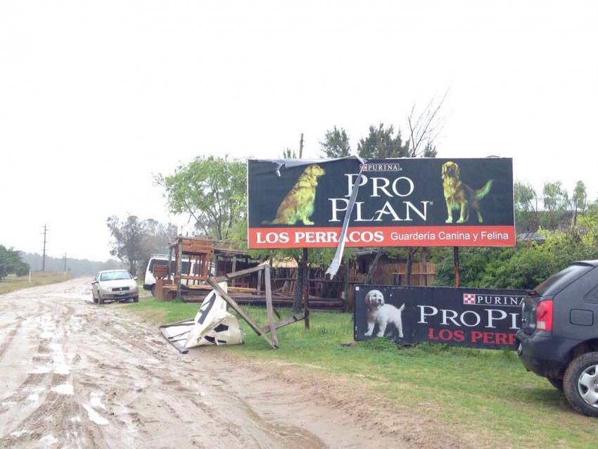 El frente de ruta afectado por los fuertes vientos