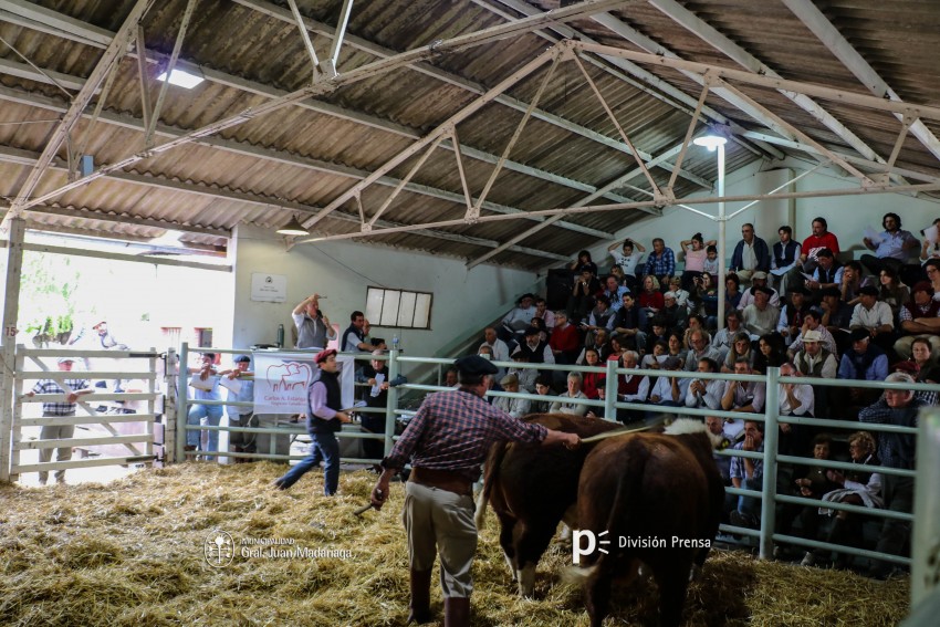 Expo-Rural 2016: ltimo da de exposicin. Qu hacemos?