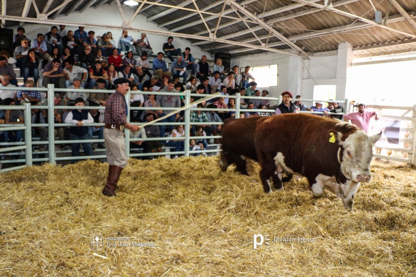 Expo-Rural 2016: ltimo da de exposicin. Qu hacemos?